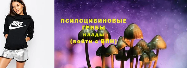 mdpv Осинники